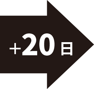 矢印14